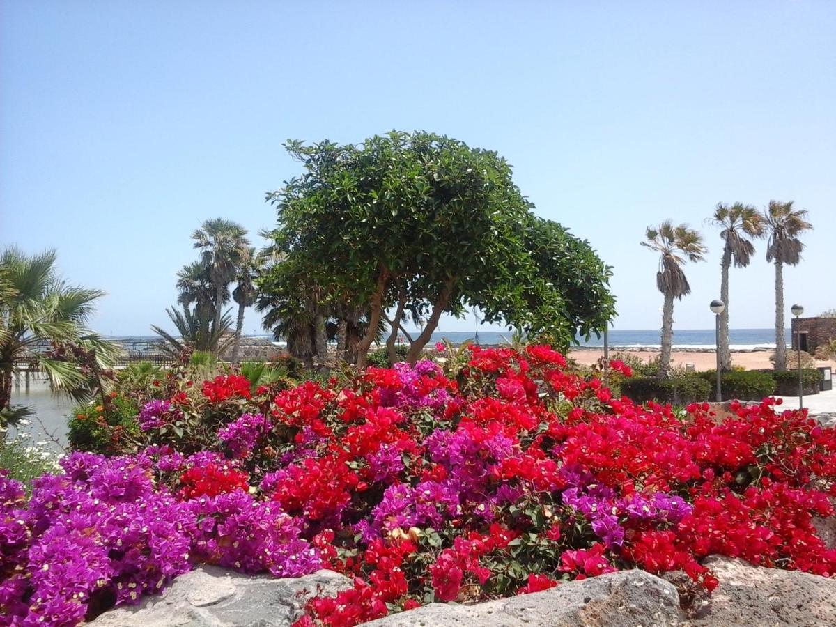 Apartamento Sol y Luz Caleta de Fuste Exterior foto